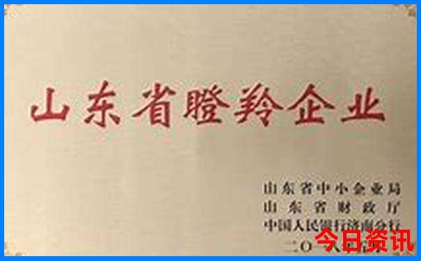 香港哪里好玩景点排名前十位