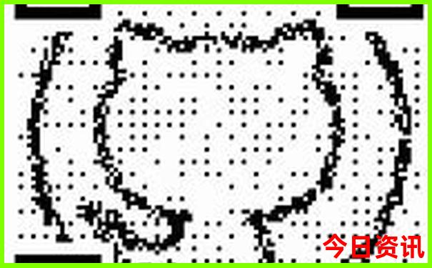 陇南有什么旅游景点